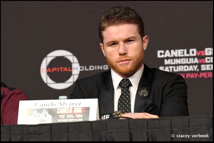 KAMIS CANELO