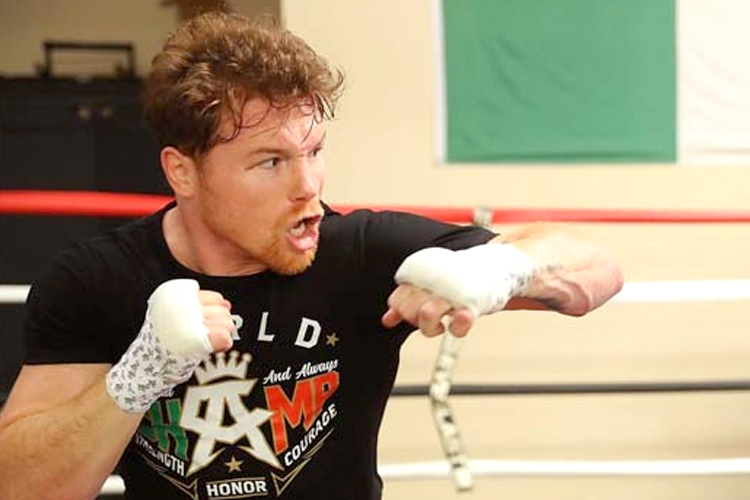 CANELO ED DILLER TGBP