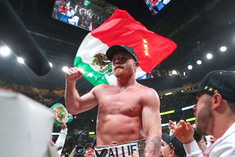 6 canelo