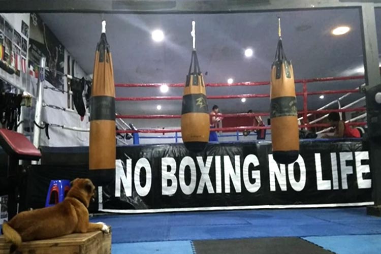 NO BOXINGNOLIFE