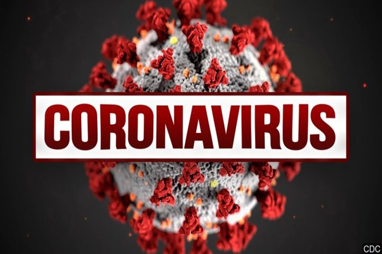 26 coronavirus