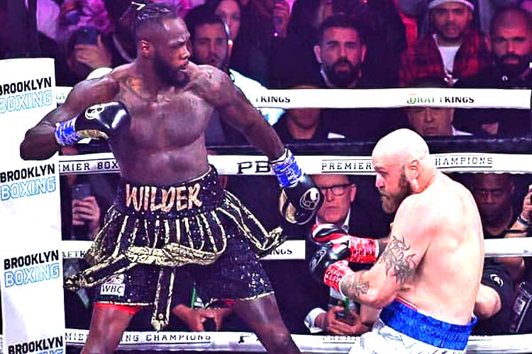 WILDER VS HELENIUS EMILY HARNEY