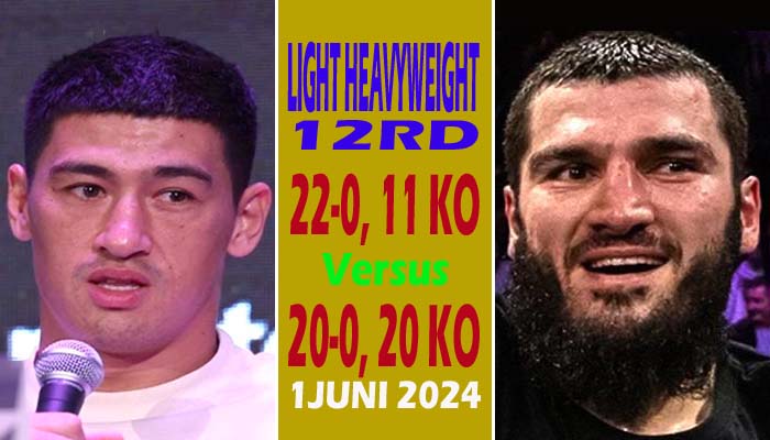 BIVOL VS BETERBIEV