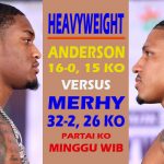 ANDERSON VS MERHY