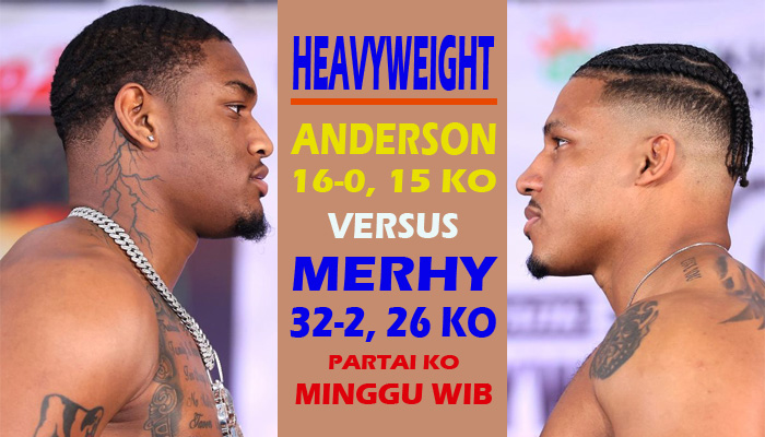 ANDERSON VS MERHY