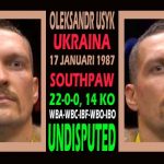 USYK UNDISPUTED RONDEAKTUAL