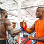 wilder ngannou